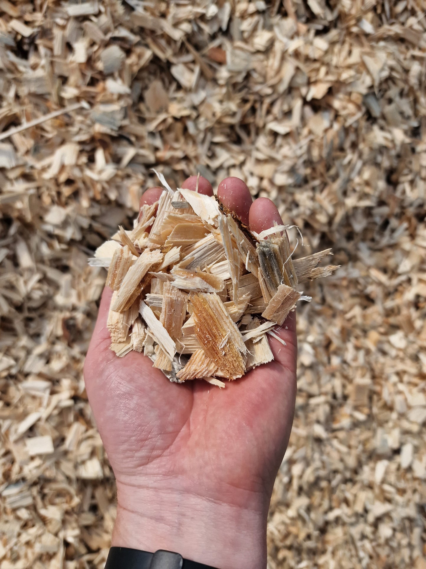 1m³ (1000l) Fallschutz Holzhackschnitzel im Big Bag versandkostenfrei geliefert