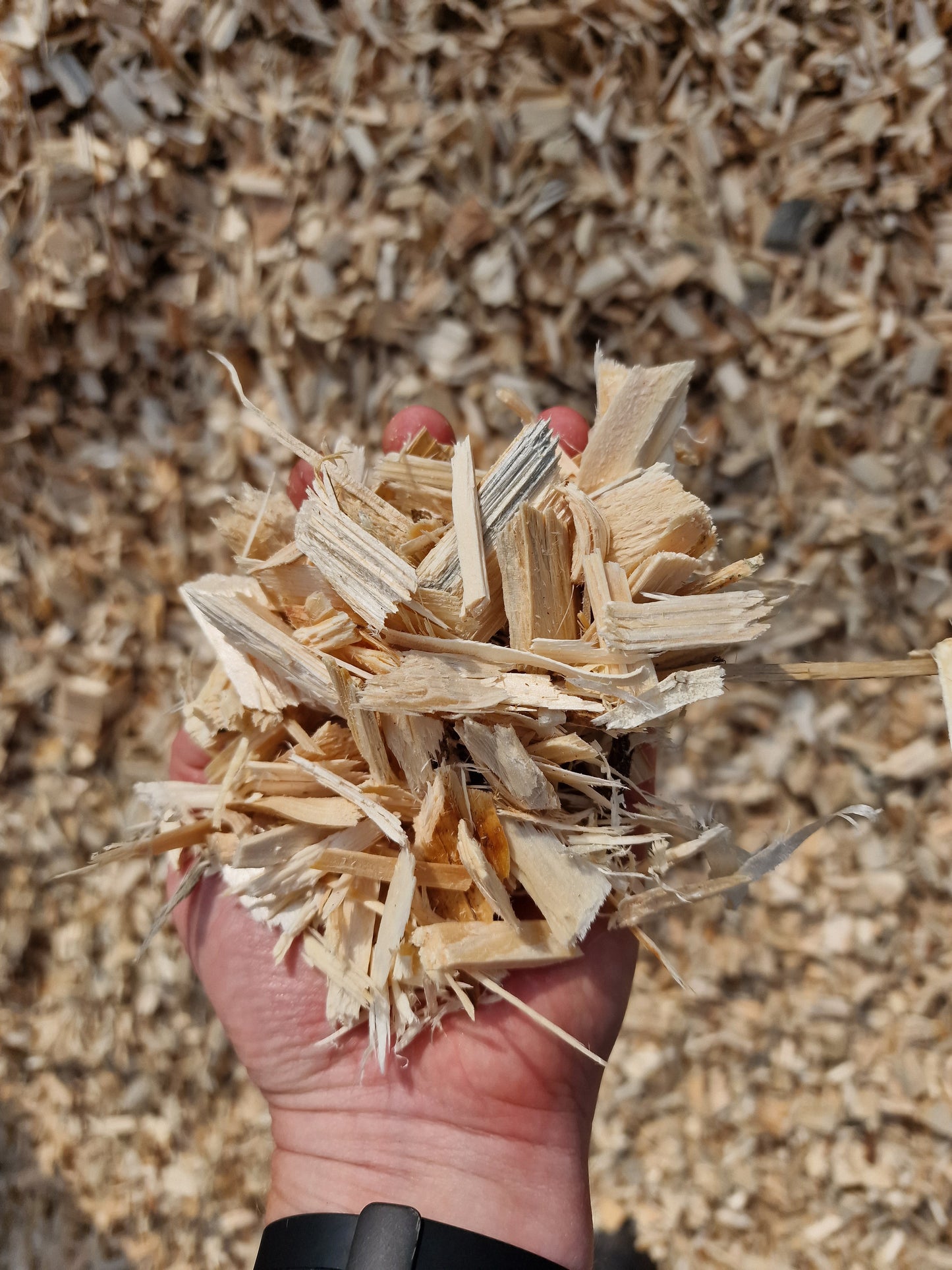 1,5m³ (1500l) Fallschutz Holzhackschnitzel im Big Bag versandkostenfrei geliefert